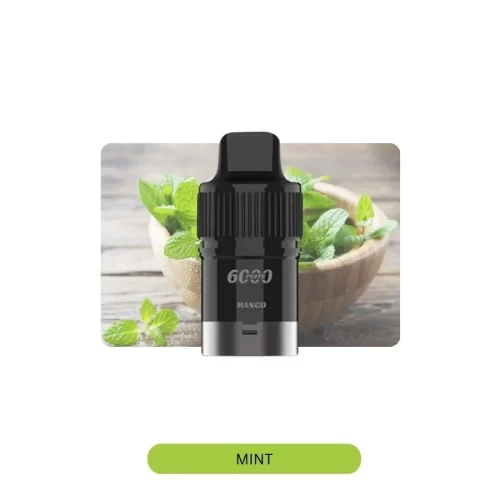 ミント(Mint) - IGET Bar Plus Pods 6000 Puffs