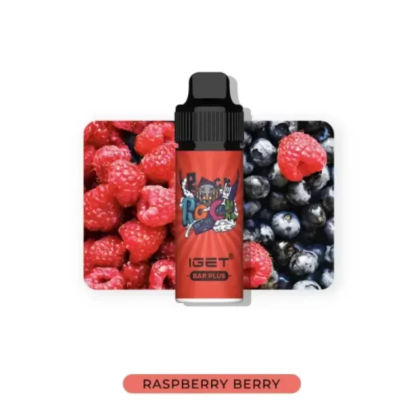 Raspberry Berry IGET Bar Plus 6000 Puffs