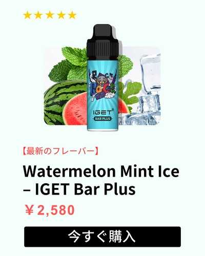 watermelon mint ice iget bar plus 6000 puffs flavour